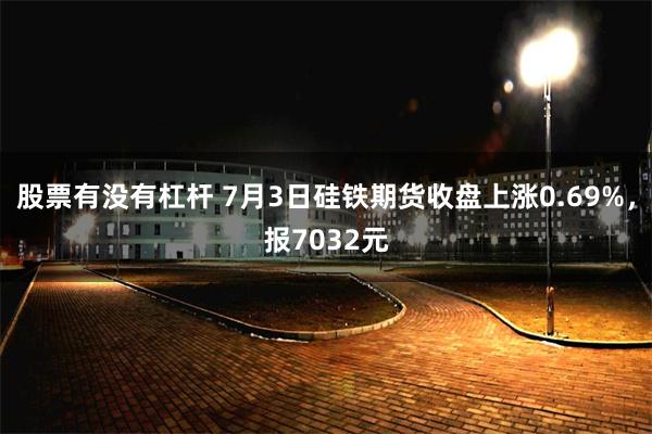 股票有没有杠杆 7月3日硅铁期货收盘上涨0.69%，报7032元