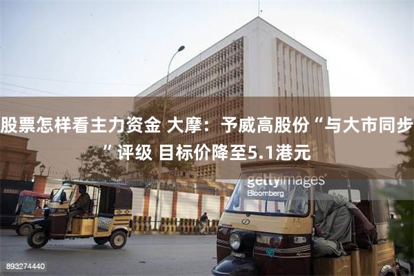 股票怎样看主力资金 大摩：予威高股份“与大市同步”评级 目标价降至5.1港元