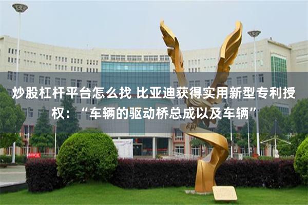 炒股杠杆平台怎么找 比亚迪获得实用新型专利授权：“车辆的驱动桥总成以及车辆”