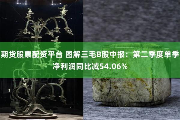 期货股票配资平台 图解三毛B股中报：第二季度单季净利润同比减54.06%