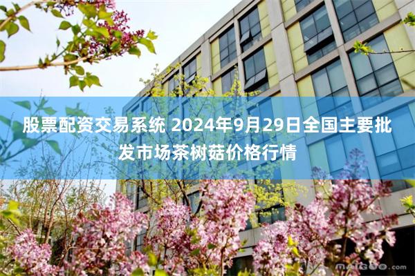 股票配资交易系统 2024年9月29日全国主要批发市场茶树菇价格行情