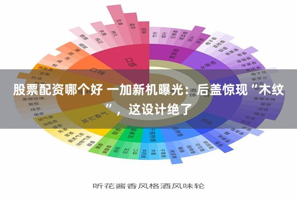 股票配资哪个好 一加新机曝光：后盖惊现“木纹”，这设计绝了