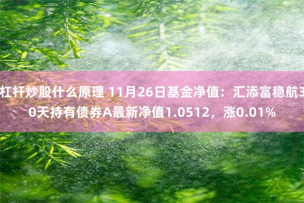 杠杆炒股什么原理 11月26日基金净值：汇添富稳航30天持有债券A最新净值1.0512，涨0.01%