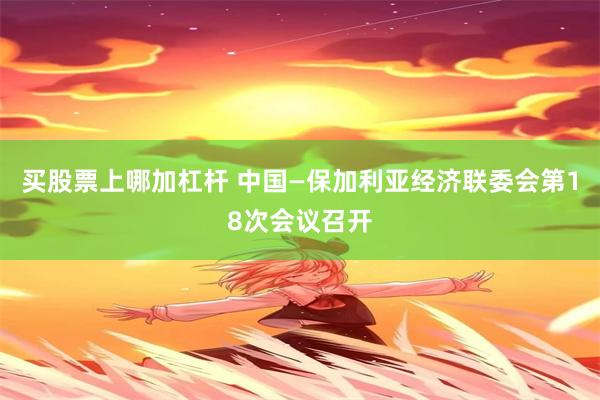 买股票上哪加杠杆 中国—保加利亚经济联委会第18次会议召开